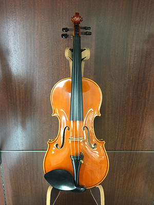 弦楽器 ｜ 長谷川楽器店